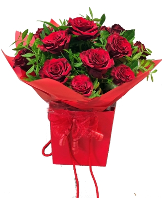 Aqua pack of 12 Red Explorer Roses