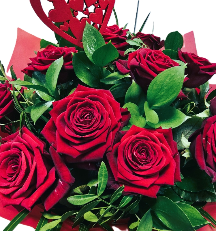 Aqua Pack of12  Red Naomi Roses