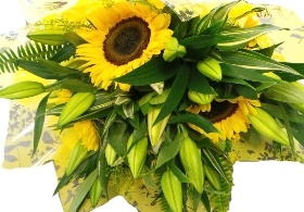 Sunflowers & Lilys