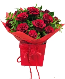 Aqua pack of 12 Red Explorer Roses