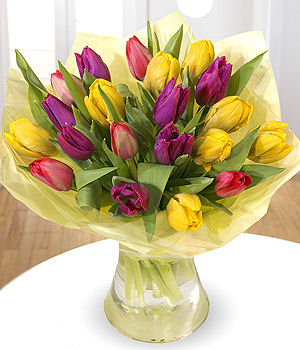 A Vase of Tulips